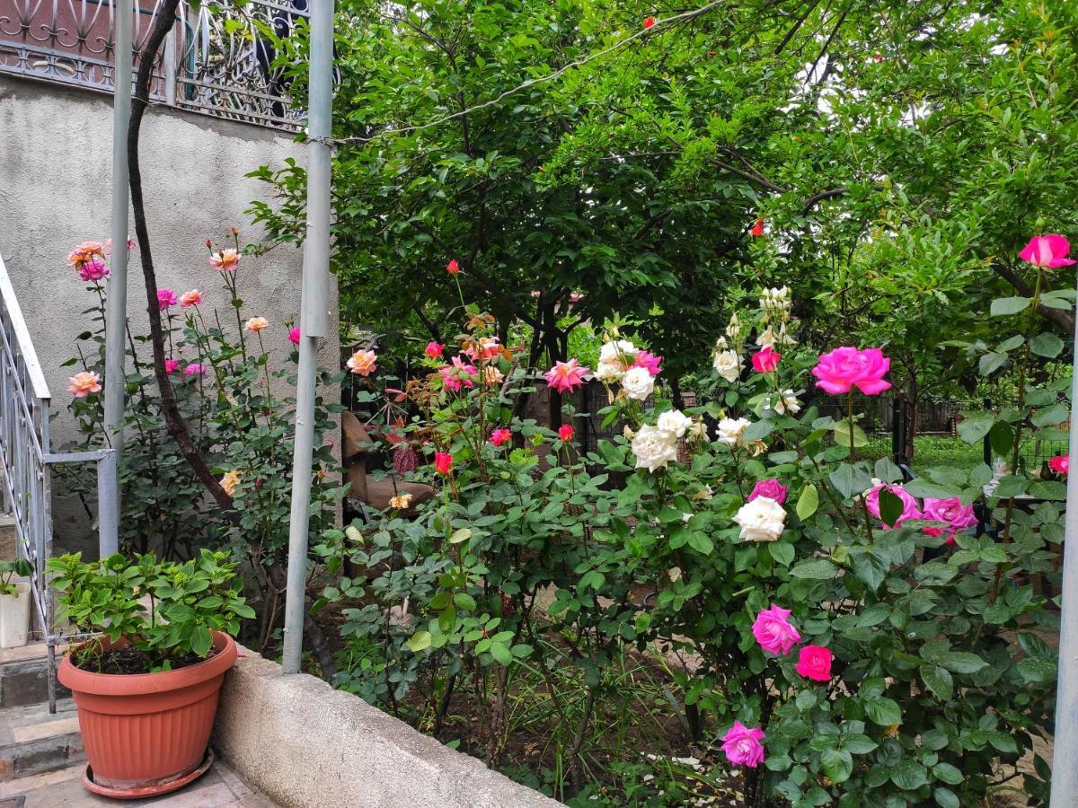 Guesthouse Ttt-1 Tbilisi Exteriör bild